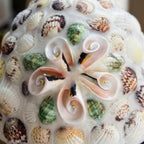 Mosaic Seashell Pendant Light - product view 8